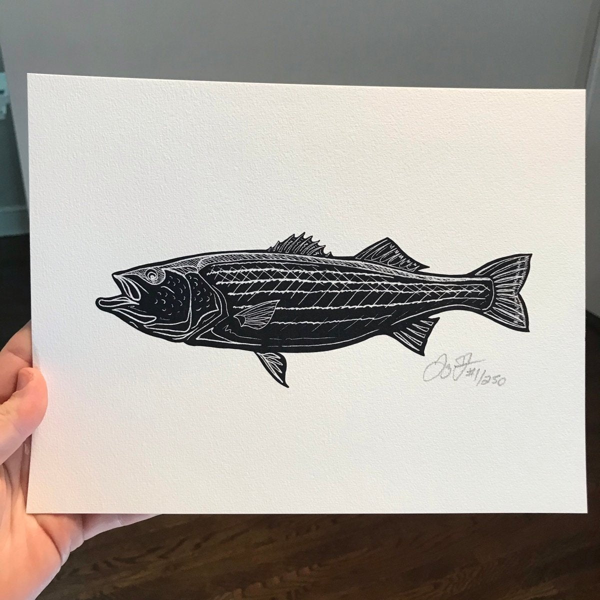 Striped Bass  Fish print, Striper fish, Striped bass