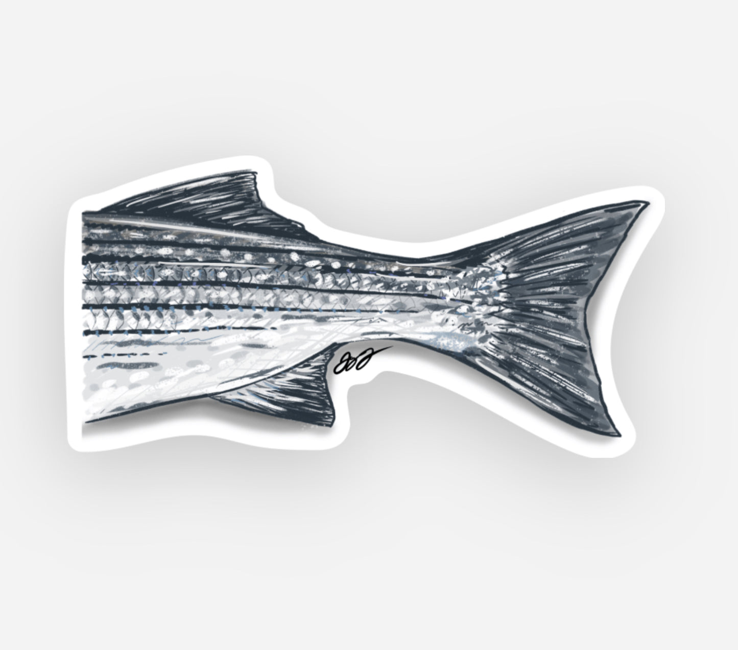 Striped Bass Tail Decal