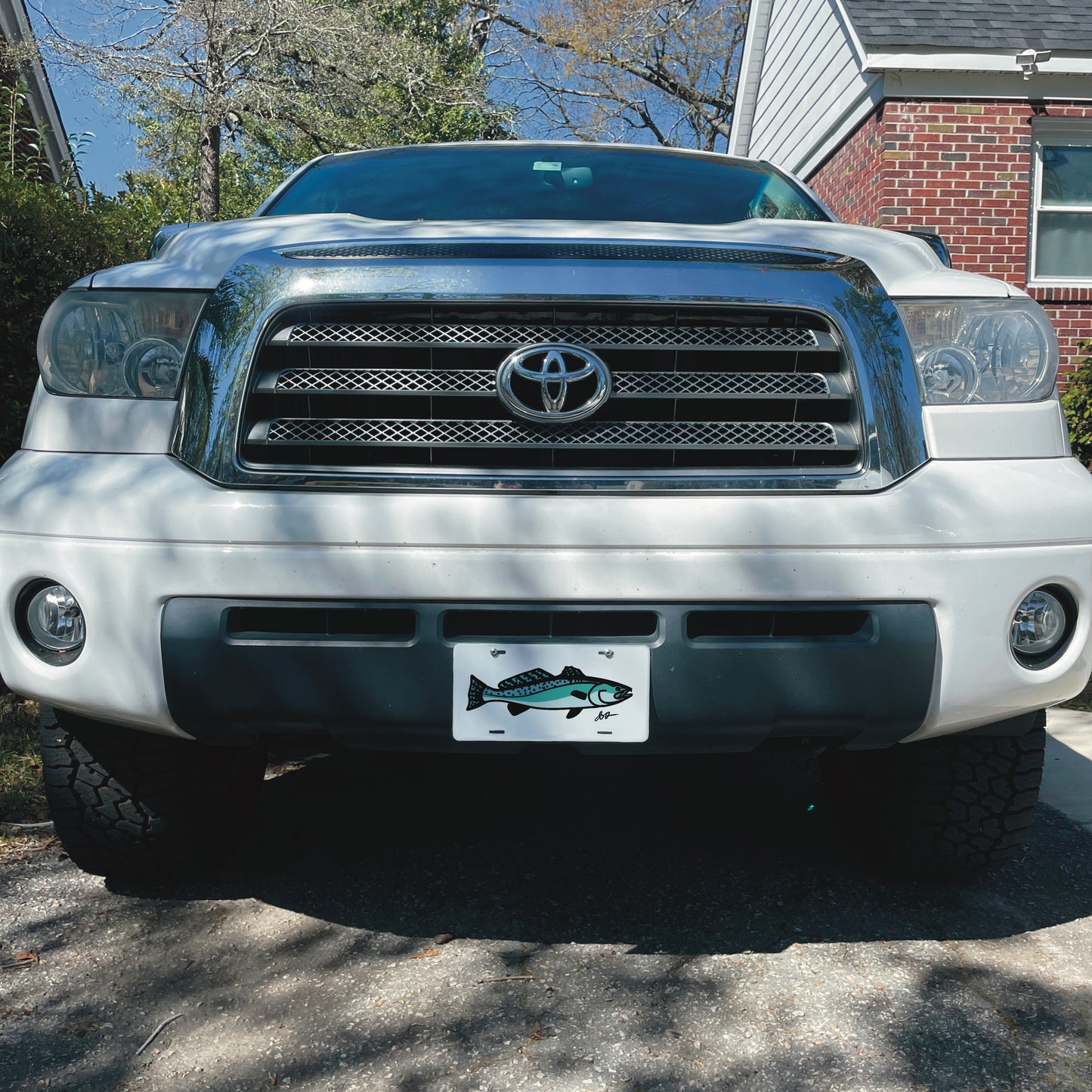 Simple Sea Trout License Plate