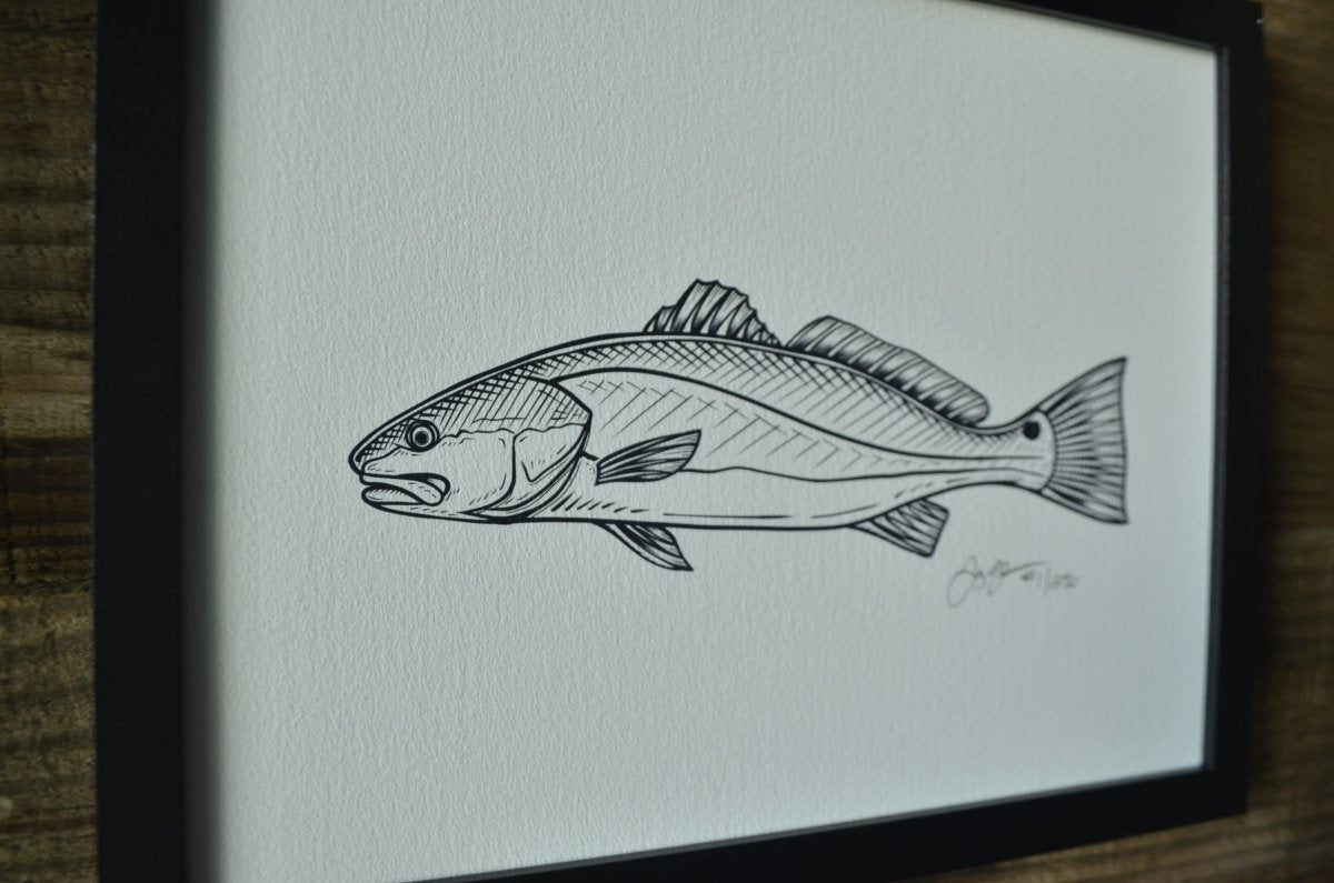 Super Red Koi Halfmoon Betta Fish Sketch Digital Art by Scott Wallace  Digital Designs - Fine Art America
